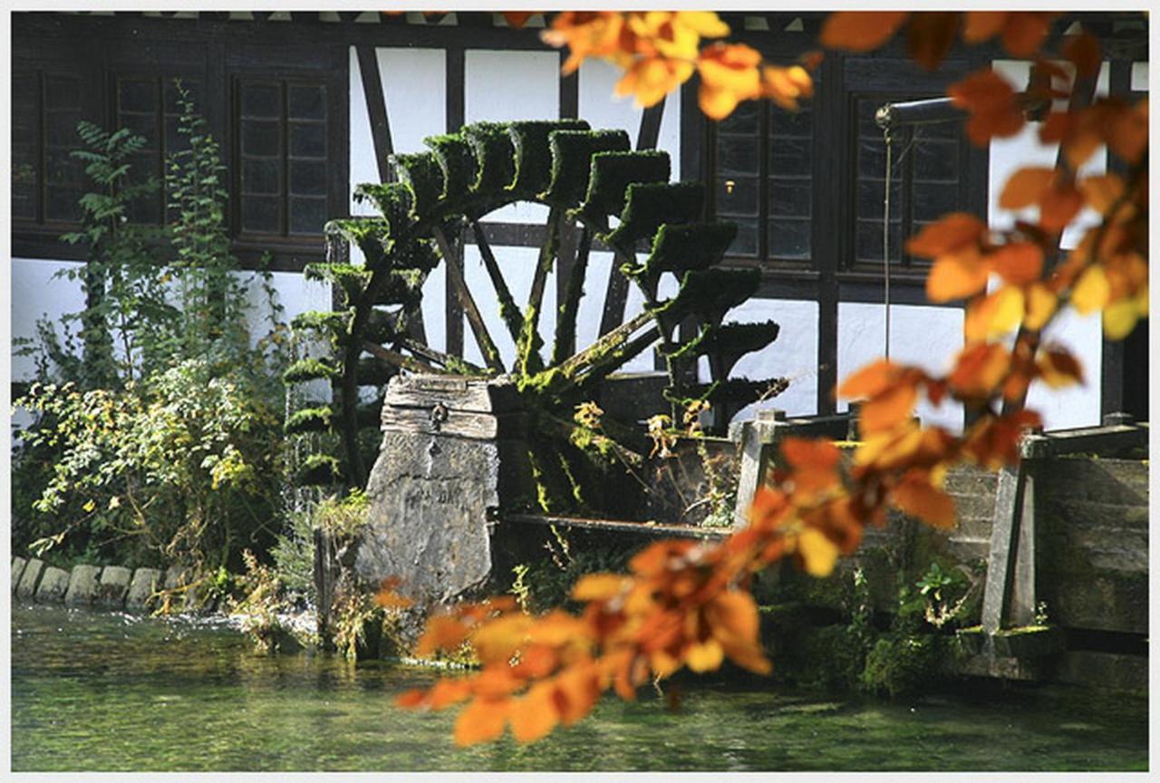 Hotel-Restaurant Ochsen Blaubeuren Luaran gambar